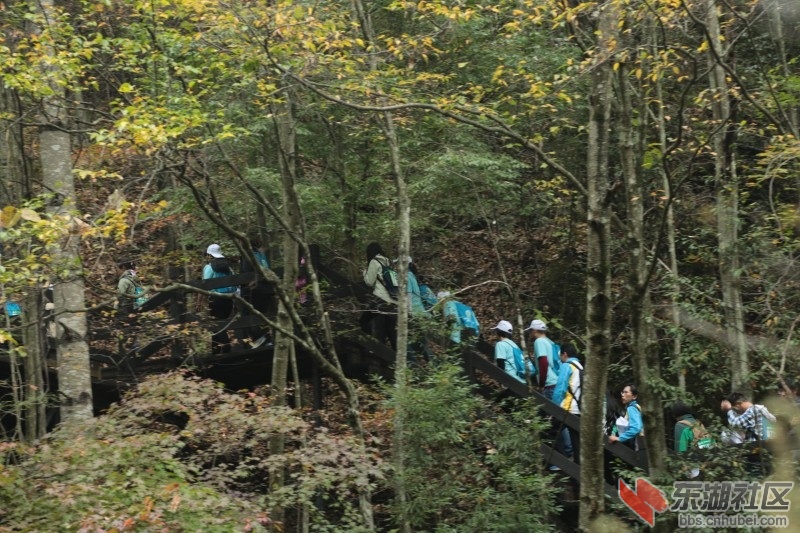 conew_cq4a9287.jpg