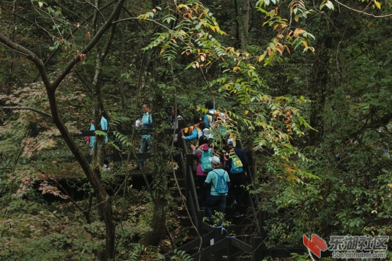 conew_cq4a9319.jpg