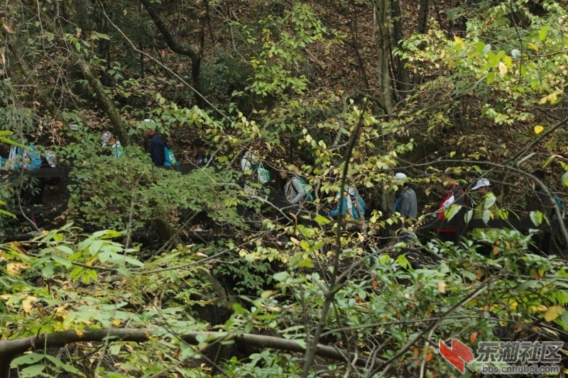 conew_cq4a9334.jpg