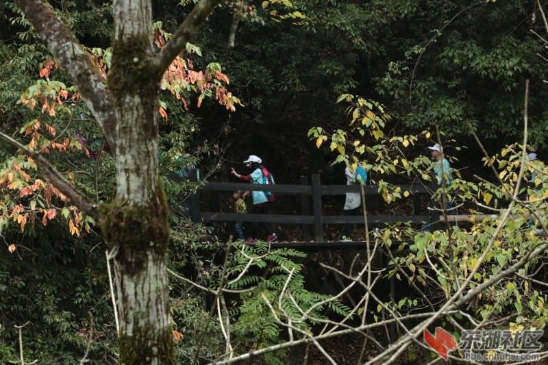 conew_cq4a9354.jpg