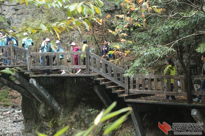 conew_cq4a9386.jpg