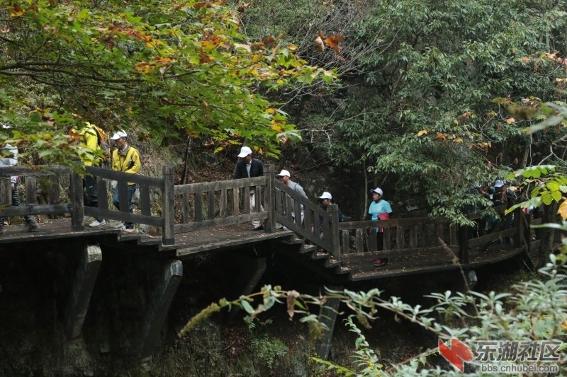 conew_cq4a9398.jpg