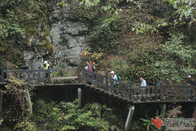 conew_cq4a9417.jpg