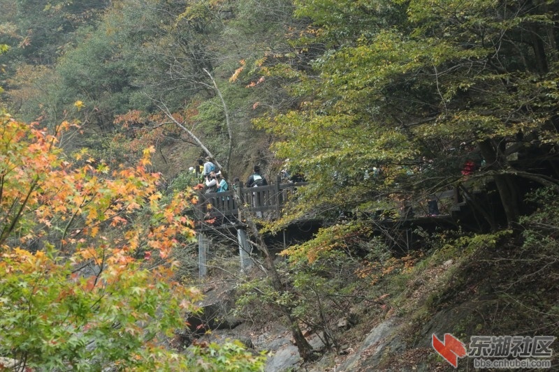 conew_cq4a9434.jpg