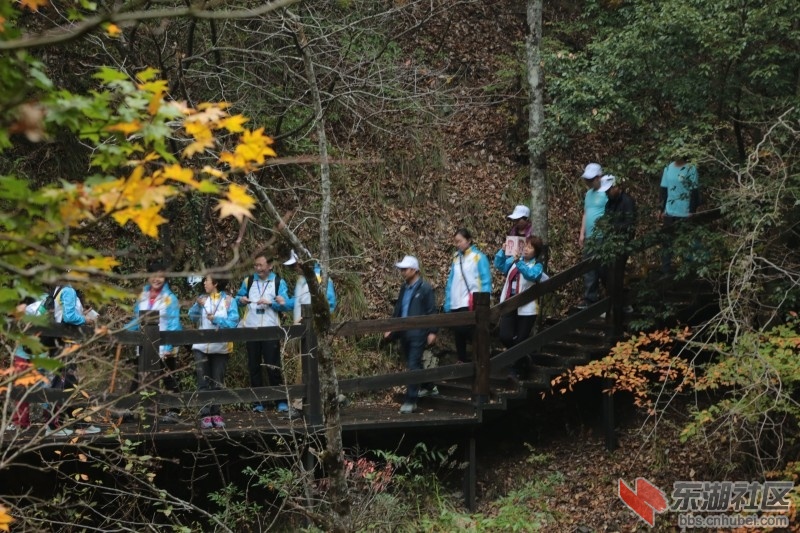 conew_cq4a9455.jpg