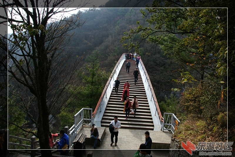 DSC00369_副本.jpg