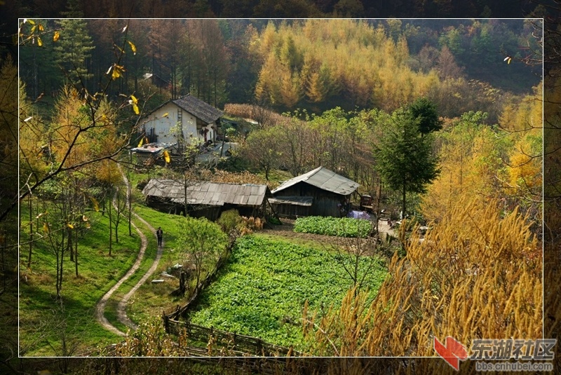 DSC00423_副本.jpg