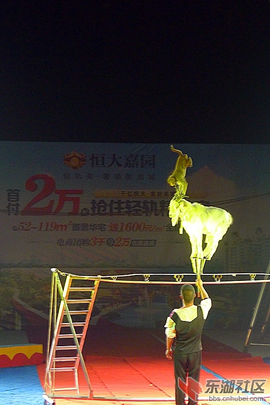 P1740163.JPG