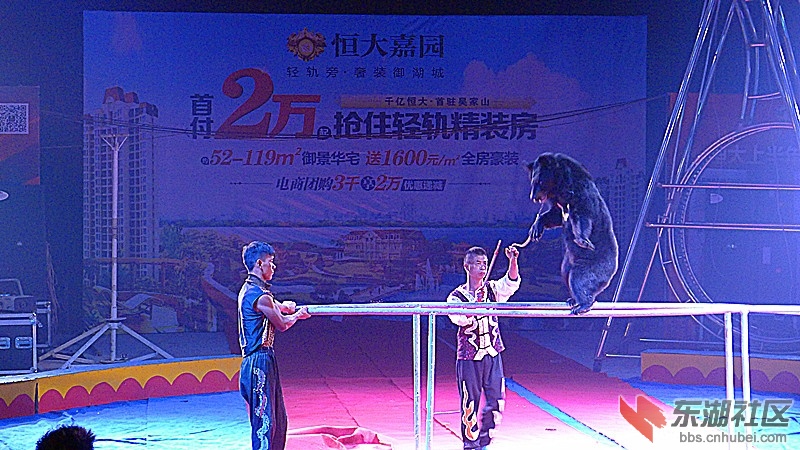 P1740170.JPG
