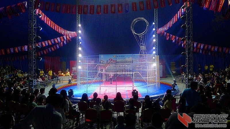 P1740126.JPG
