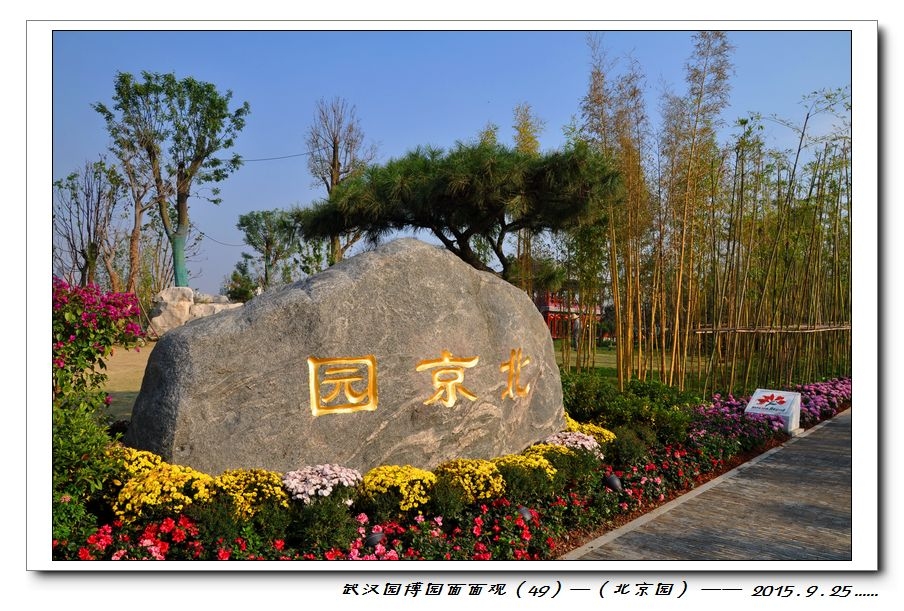 nEO_IMG_DSC_0978.jpg