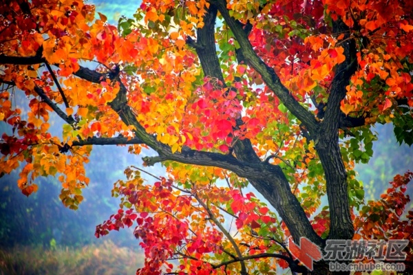 20151027154649_175.jpg