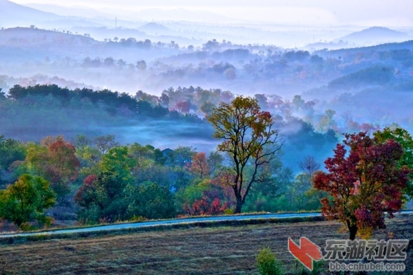 20151027154613_402.jpg