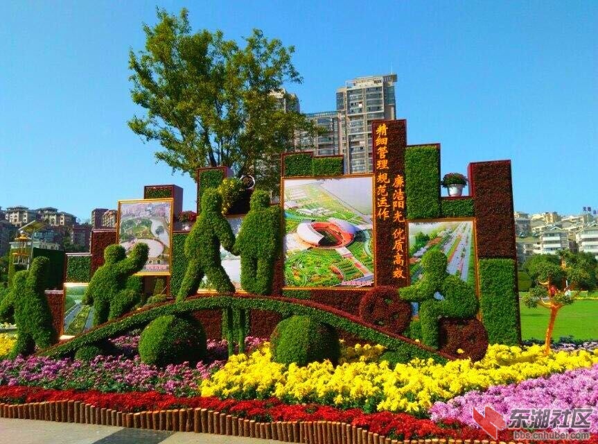 QQ图片20151028150834.jpg