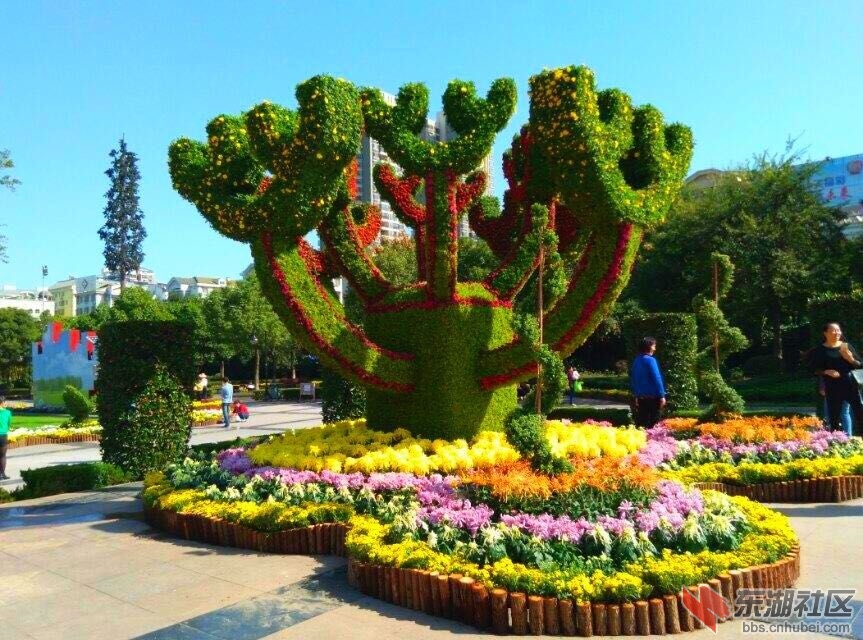 QQ图片20151028150839.jpg