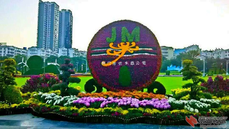 QQ图片20151028150812.jpg