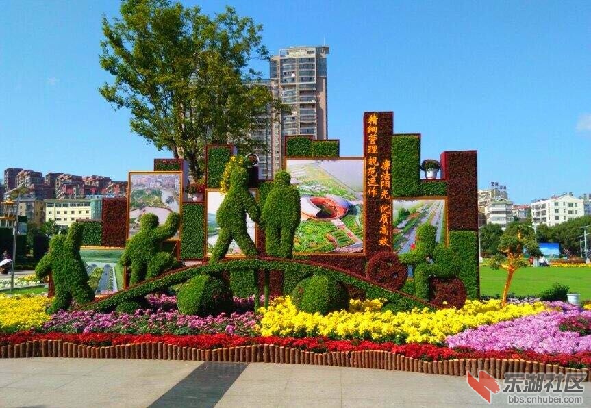 QQ图片20151028150801.jpg