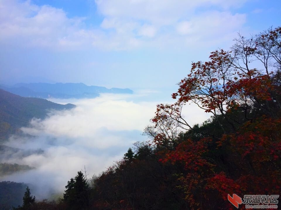 QQ图片20151028154121.jpg