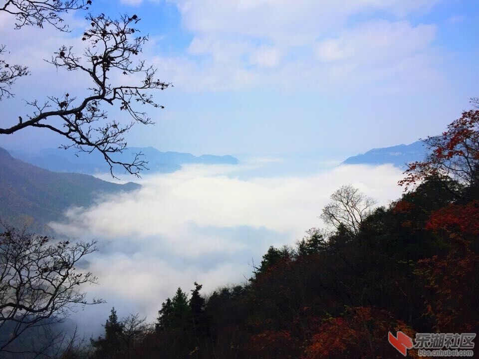 QQ图片20151028154134.jpg