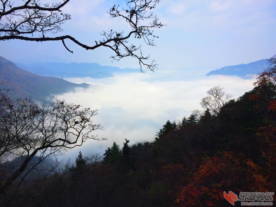 QQ图片20151028154142.jpg
