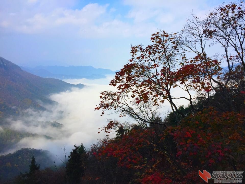 QQ图片20151028154136.jpg