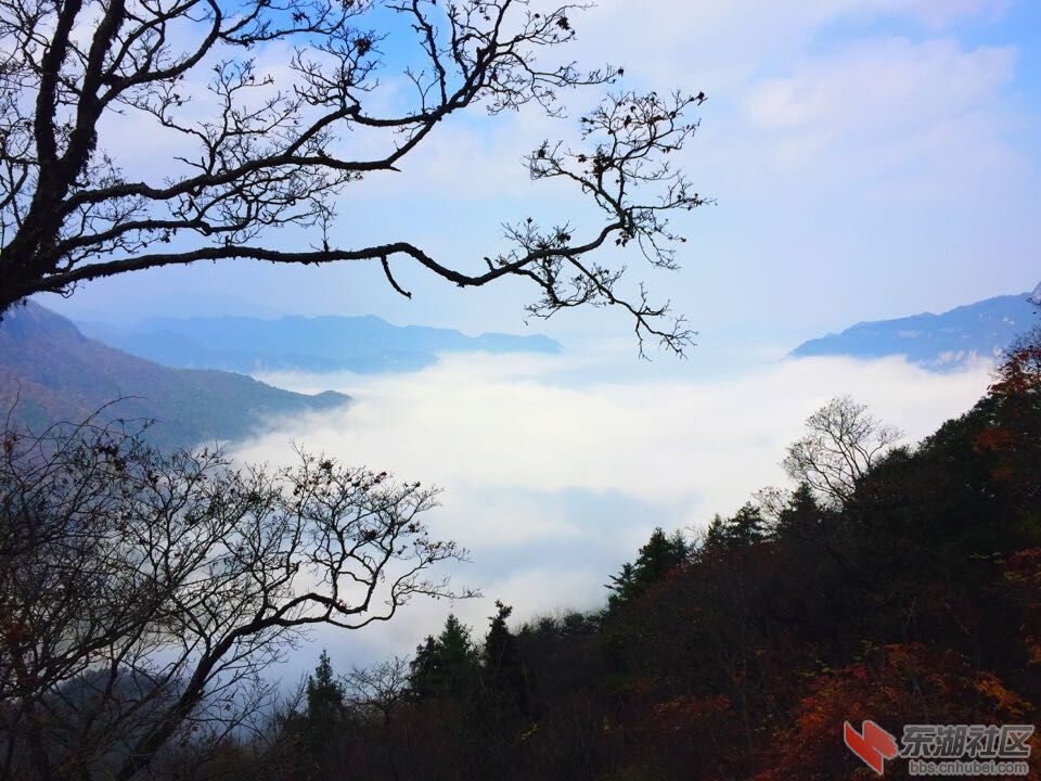 QQ图片20151028154144.jpg