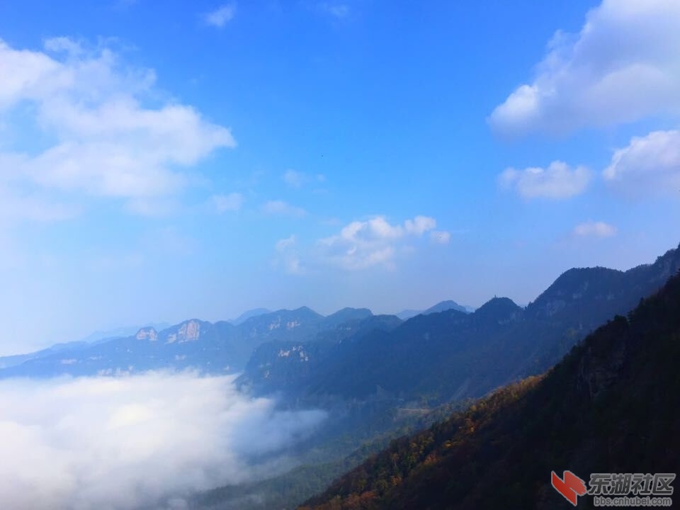 QQ图片20151028154131.jpg