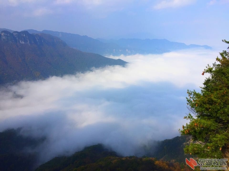 QQ图片20151028154149.jpg