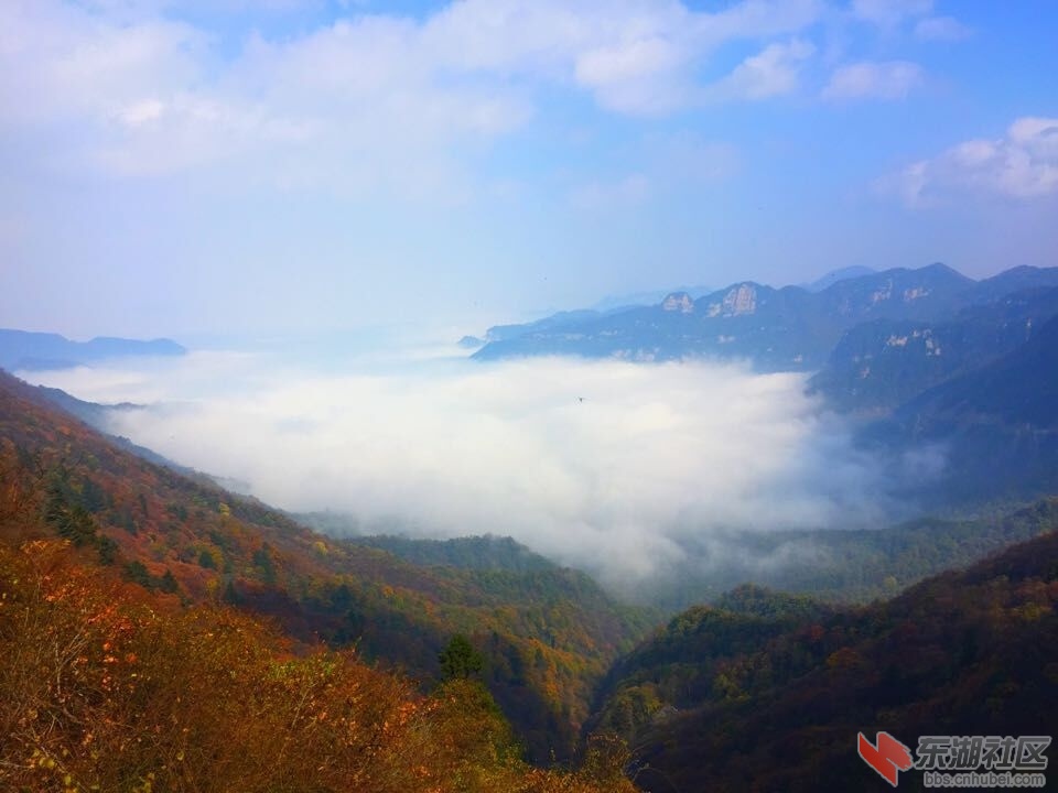 QQ图片20151028154156.jpg