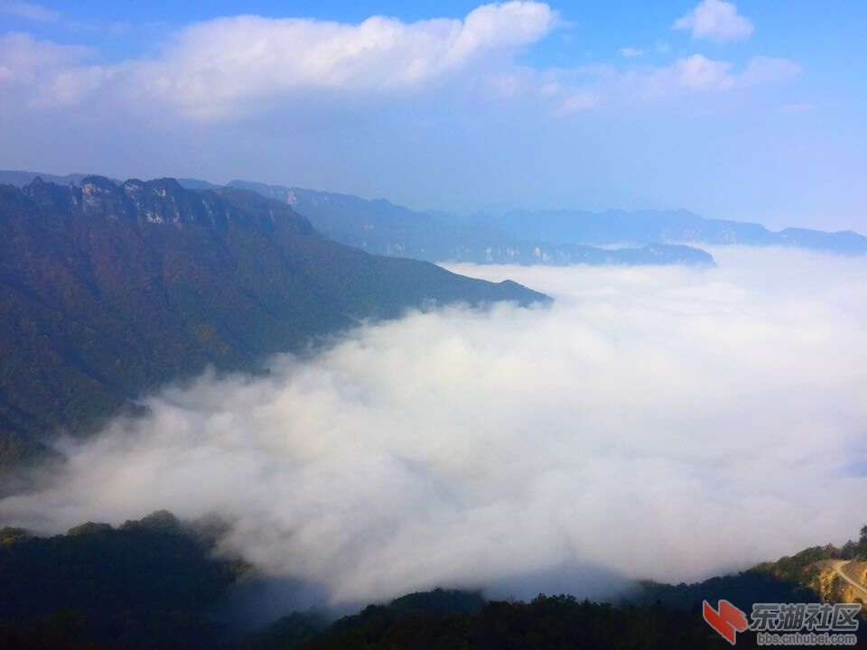QQ图片20151028154248.jpg
