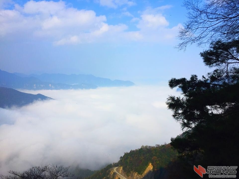 QQ图片20151028154236.jpg
