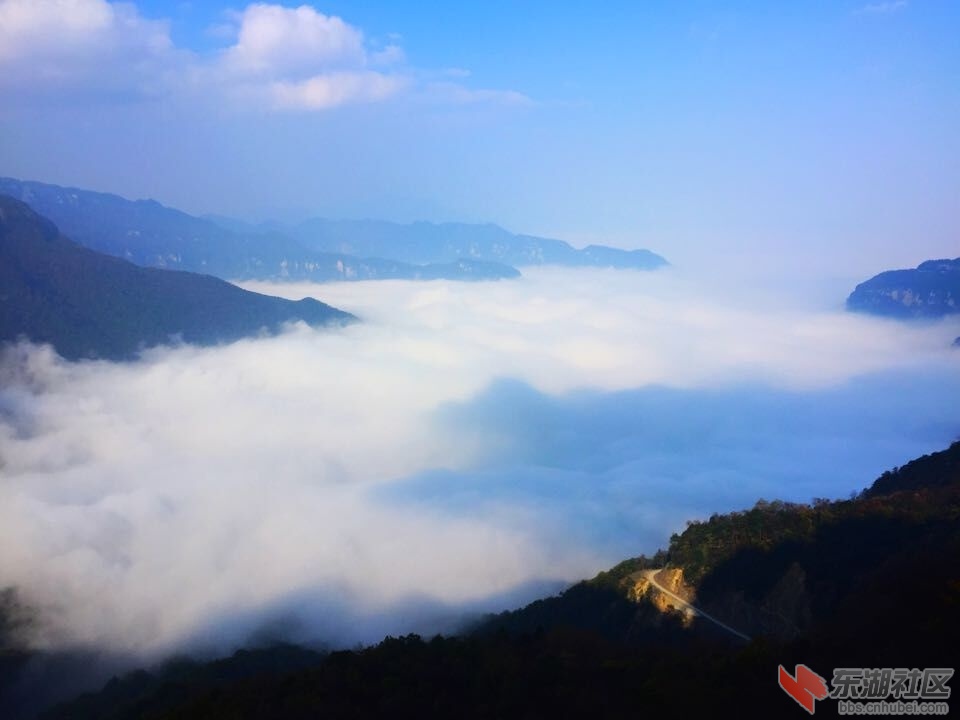 QQ图片20151028154310.jpg