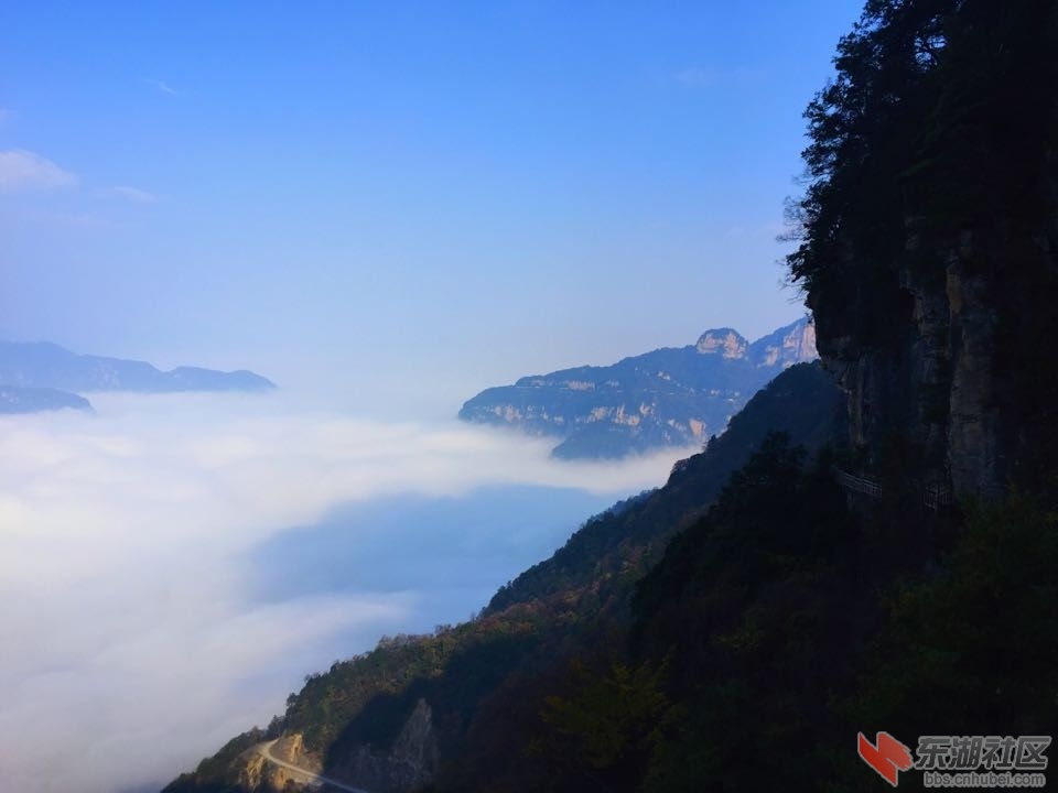 QQ图片20151028154253.jpg