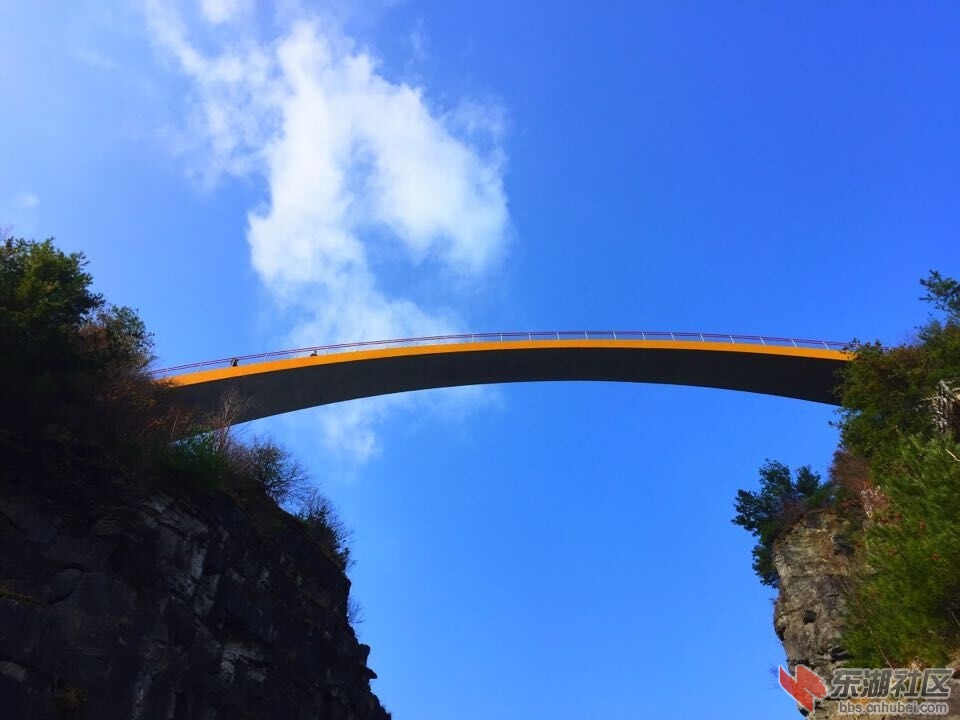 QQ图片20151028154228.jpg