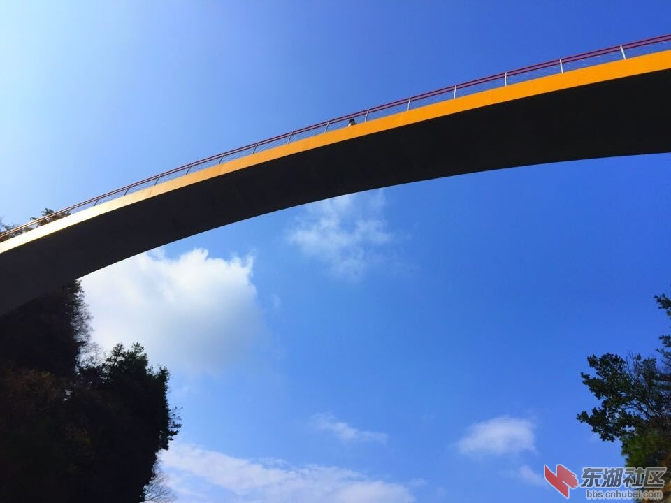 QQ图片20151028154304.jpg