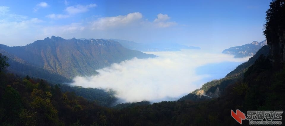 QQ图片20151028154243.jpg