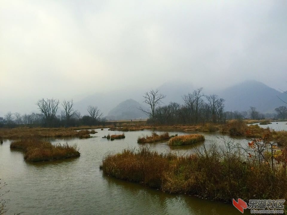 QQ图片20151028154146.jpg