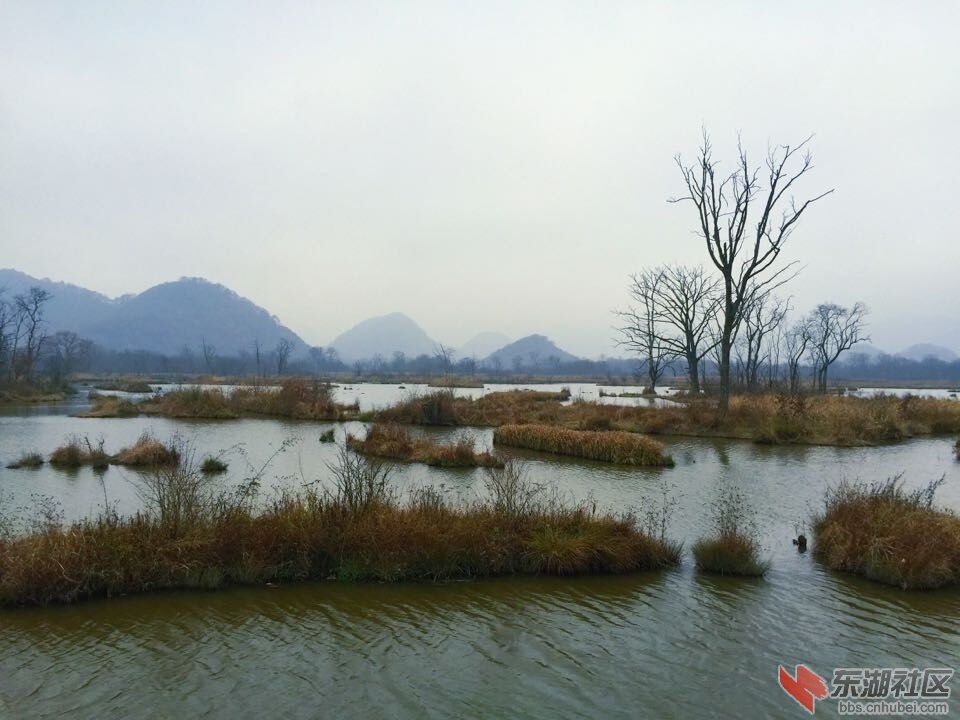 QQ图片20151028154139.jpg