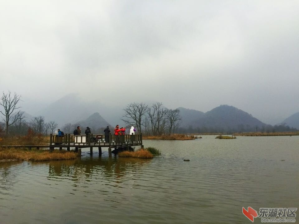 QQ图片20151028154205.jpg