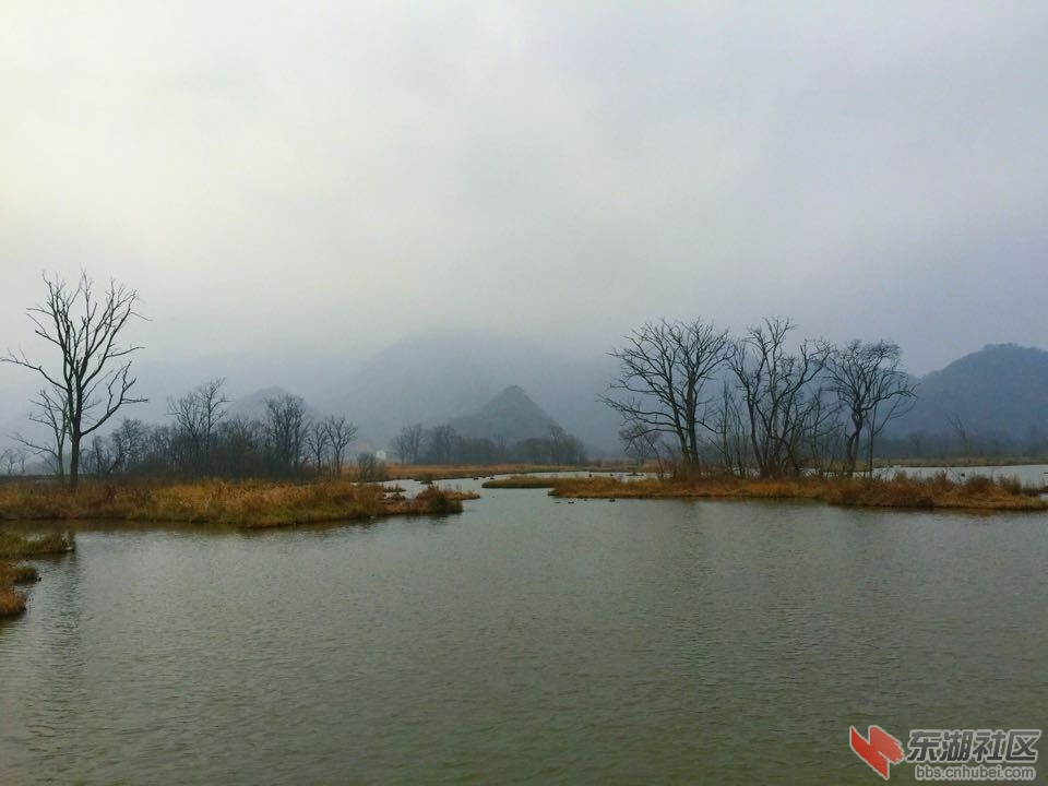 QQ图片20151028154212.jpg