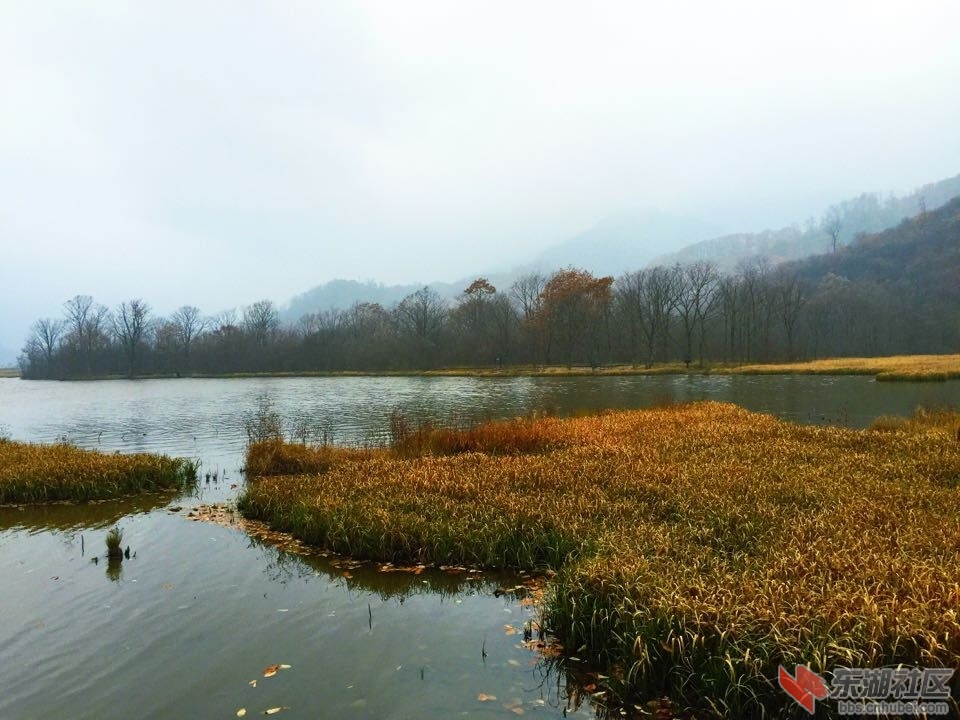 QQ图片20151028154217.jpg