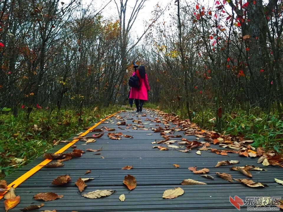 QQ图片20151028154215.jpg