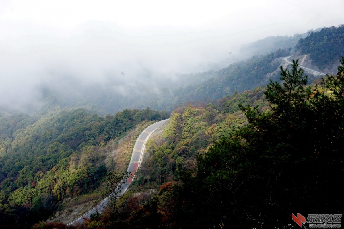 DSC06905.jpg