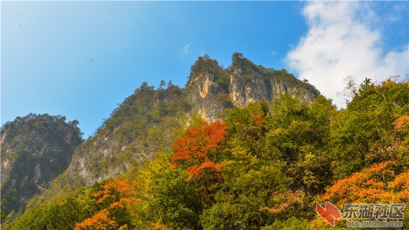 未命名-29.jpg