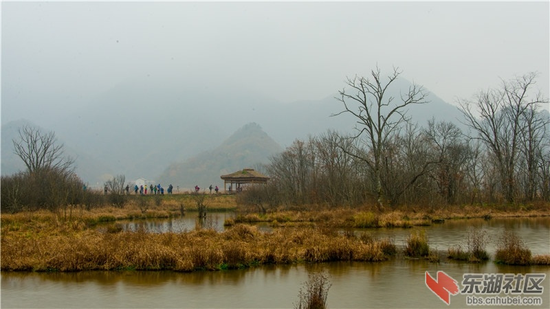未命名-36.jpg