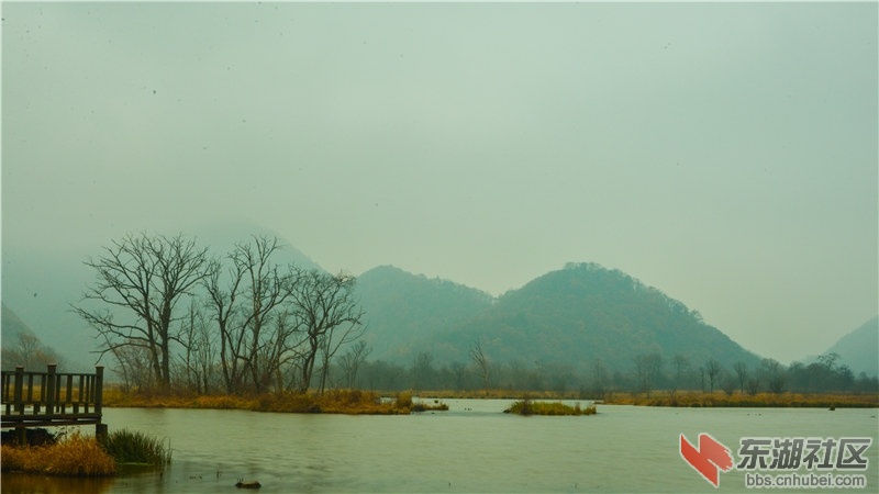 未命名-35.jpg