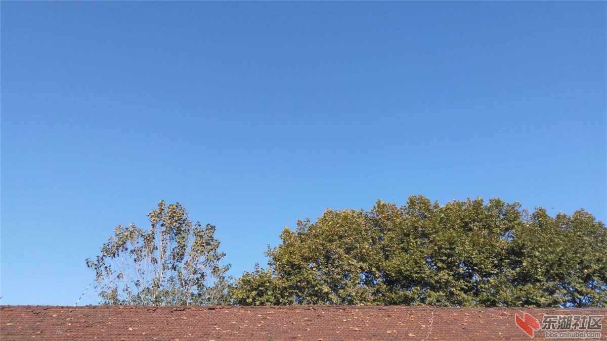 IMG_20151027_084110_副本.jpg