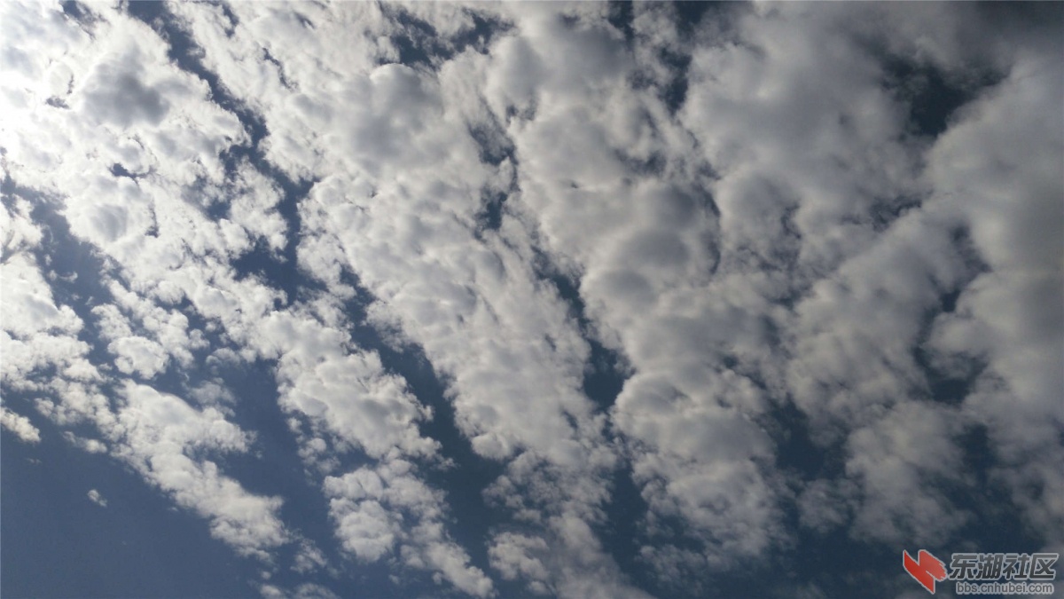 IMG_20151027_110327_副本.jpg