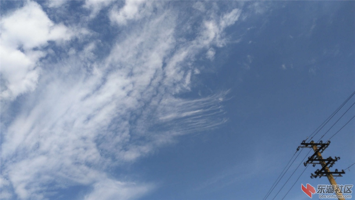 IMG_20151027_110528_副本.jpg
