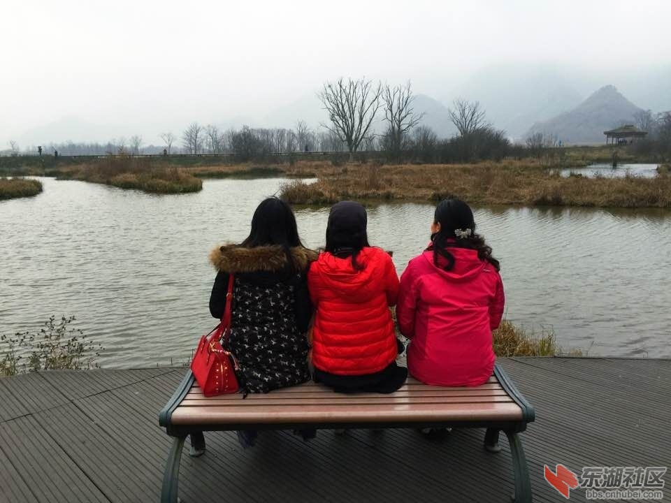QQ图片20151029090610.jpg